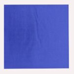 Solid Colors 25cm Printed Solid-Color Napkins