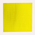 Solid Colors 25cm Printed Solid-Color Napkins